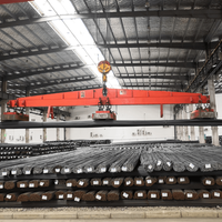Powerful and reliable Magnetic lifting MW12 lifting magnet for lifting coiled steel and slab